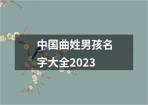 中国曲姓男孩名字大全2023