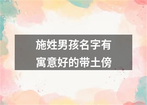 施姓男孩名字有寓意好的带土傍