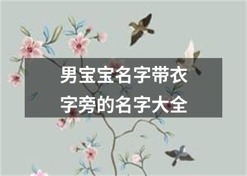 男宝宝名字带衣字旁的名字大全