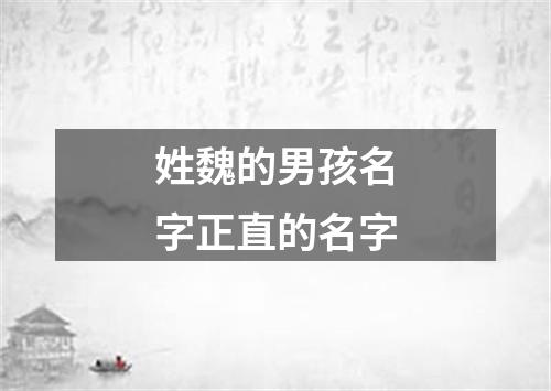 姓魏的男孩名字正直的名字