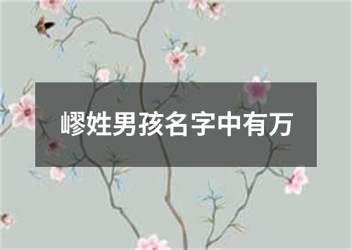 嵺姓男孩名字中有万