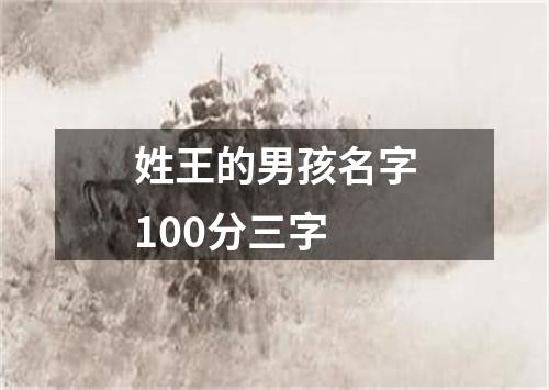 姓王的男孩名字100分三字