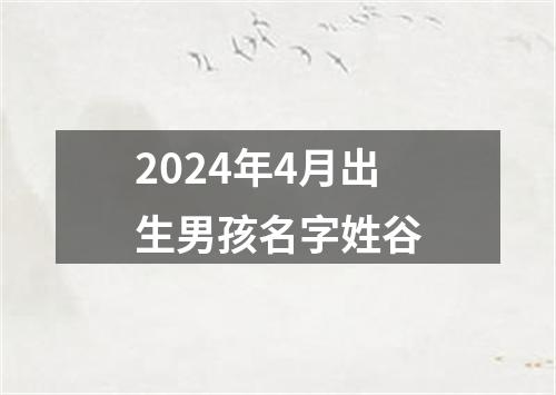 2024年4月出生男孩名字姓谷