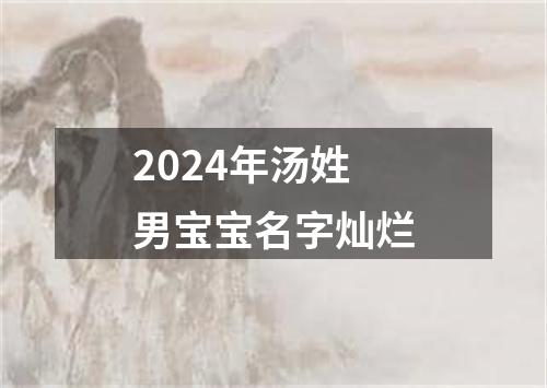 2024年汤姓男宝宝名字灿烂