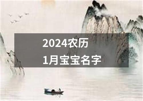 2024农历1月宝宝名字