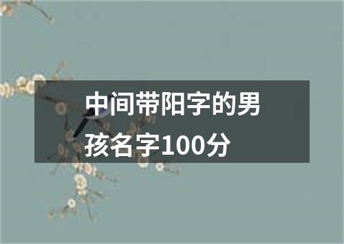 中间带阳字的男孩名字100分