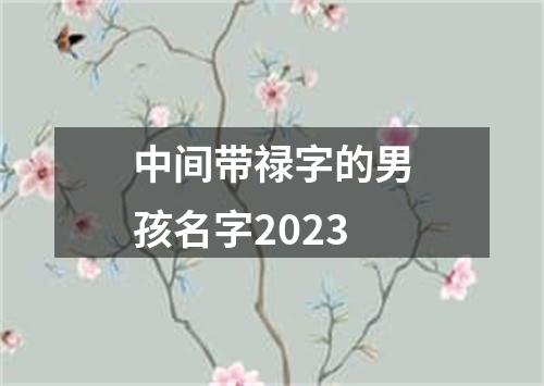 中间带禄字的男孩名字2023