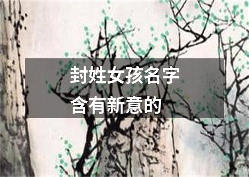 封姓女孩名字含有新意的