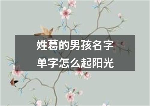 姓葛的男孩名字单字怎么起阳光