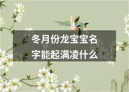 冬月份龙宝宝名字能起满凌什么