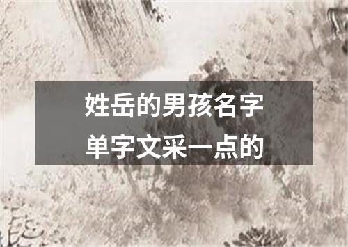 姓岳的男孩名字单字文采一点的