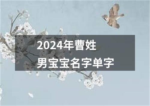 2024年曹姓男宝宝名字单字