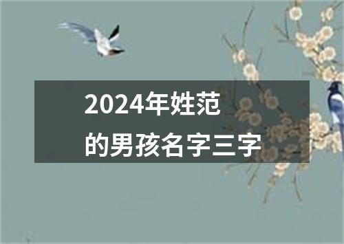 2024年姓范的男孩名字三字