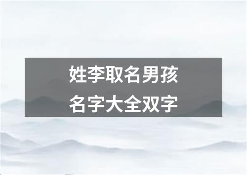 姓李取名男孩名字大全双字