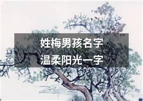 姓梅男孩名字温柔阳光一字