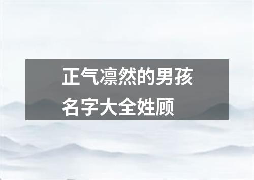 正气凛然的男孩名字大全姓顾