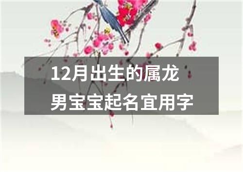 12月出生的属龙男宝宝起名宜用字