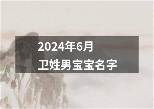 2024年6月卫姓男宝宝名字