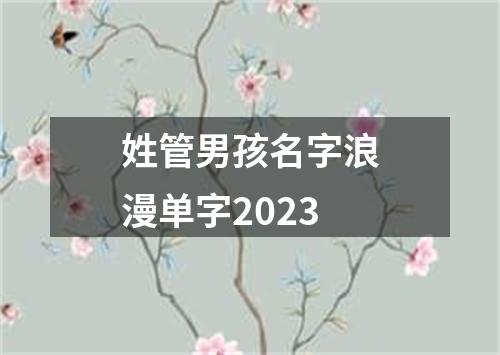 姓管男孩名字浪漫单字2023