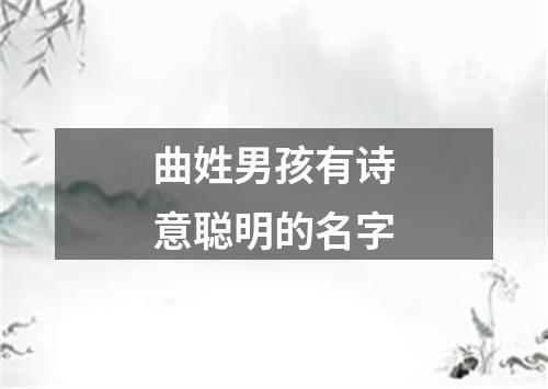 曲姓男孩有诗意聪明的名字