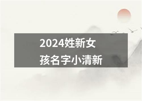 2024姓新女孩名字小清新