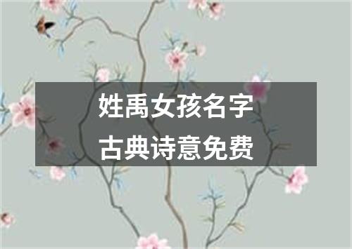 姓禹女孩名字古典诗意免费