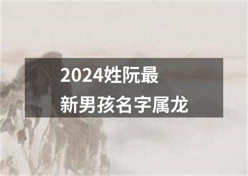 2024姓阮最新男孩名字属龙