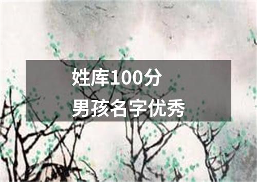 姓库100分男孩名字优秀