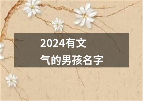 2024有文气的男孩名字