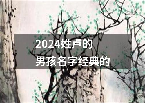 2024姓卢的男孩名字经典的