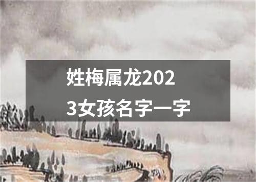 姓梅属龙2023女孩名字一字