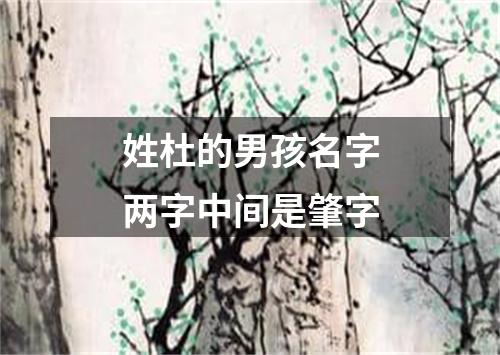 姓杜的男孩名字两字中间是肇字