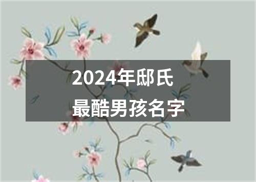 2024年邸氏最酷男孩名字