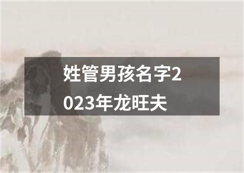 姓管男孩名字2023年龙旺夫