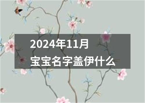 2024年11月宝宝名字盖伊什么