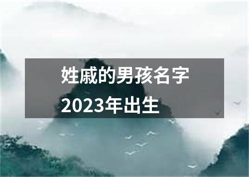 姓戚的男孩名字2023年出生