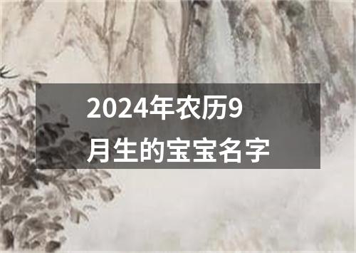 2024年农历9月生的宝宝名字