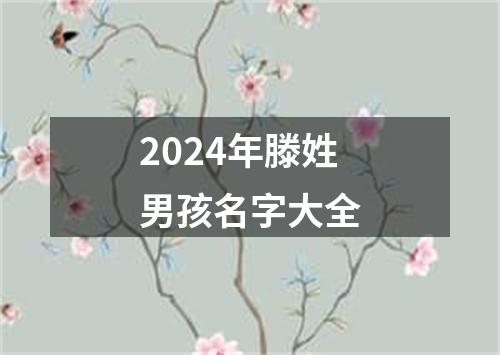 2024年滕姓男孩名字大全