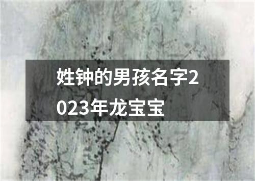 姓钟的男孩名字2023年龙宝宝