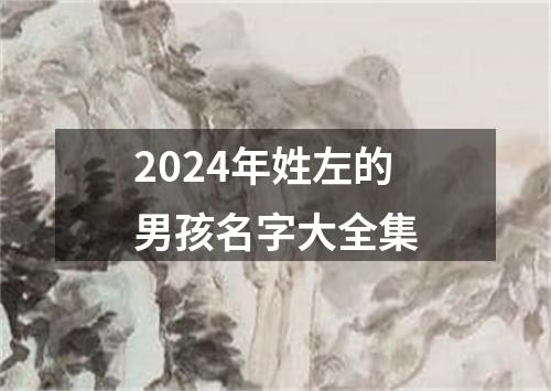 2024年姓左的男孩名字大全集