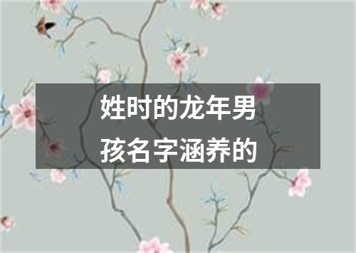 姓时的龙年男孩名字涵养的