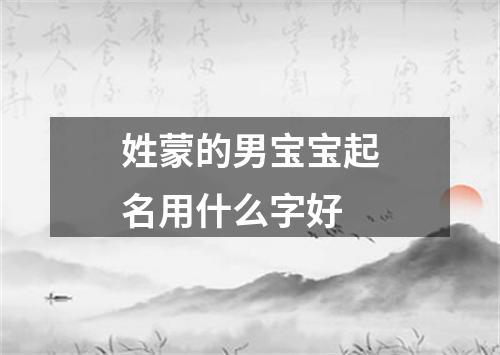 姓蒙的男宝宝起名用什么字好