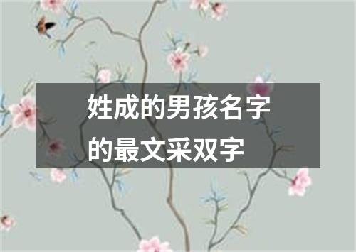 姓成的男孩名字的最文采双字