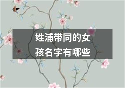 姓浦带同的女孩名字有哪些