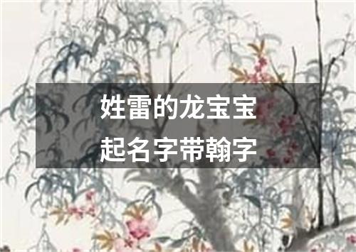 姓雷的龙宝宝起名字带翰字