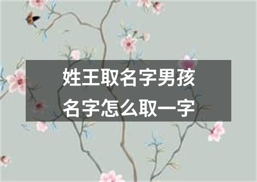 姓王取名字男孩名字怎么取一字