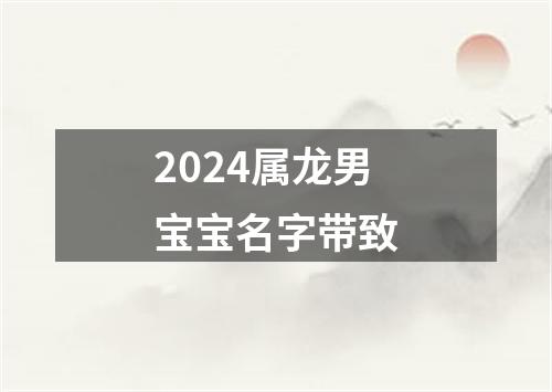 2024属龙男宝宝名字带致