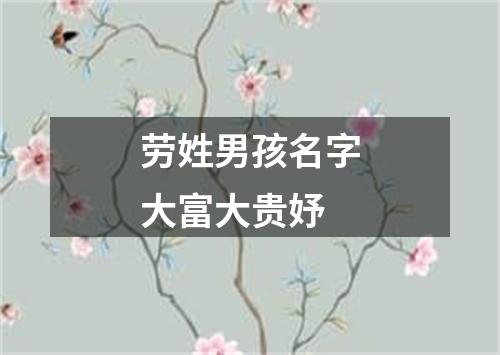 劳姓男孩名字大富大贵妤