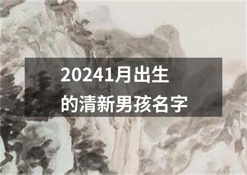 20241月出生的清新男孩名字