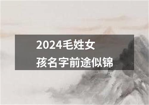 2024毛姓女孩名字前途似锦